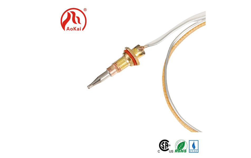 Die vergoedingsdraad is die uitbreiding van die Thermocouple -marionet