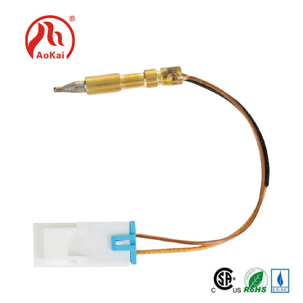 Gaswaterverwarmer termokoppel
